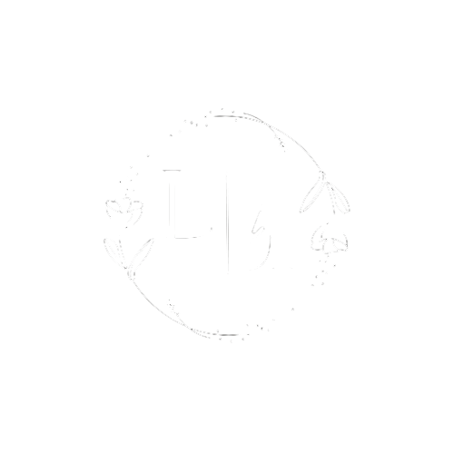 bodaluisayalejandro.com